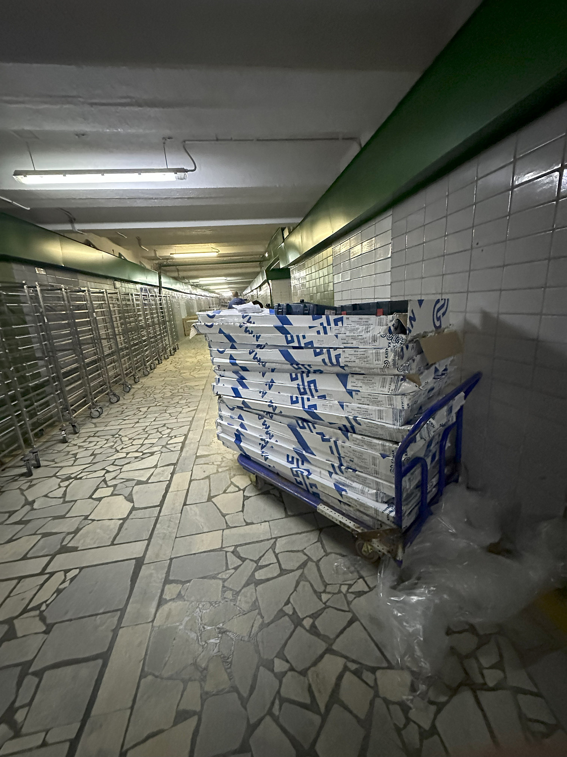 ГБУЗ "ДГКБ ИМ. З.А. БАШЛЯЕВОЙ ДЗМ"