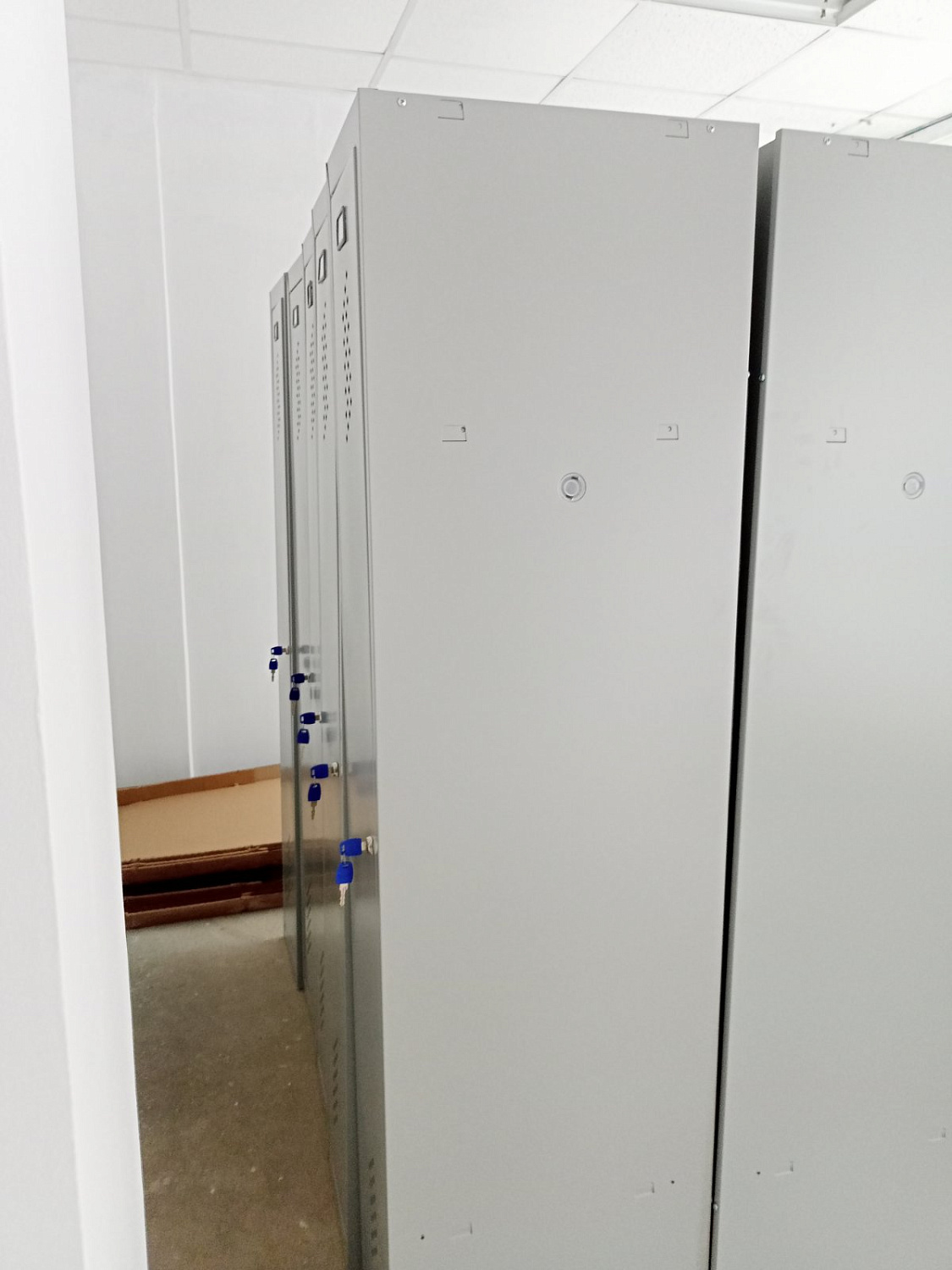 Академия Минпросвещения России