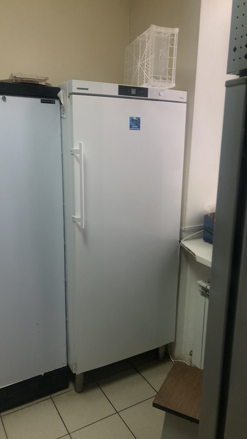 Гастро кафе Mojno