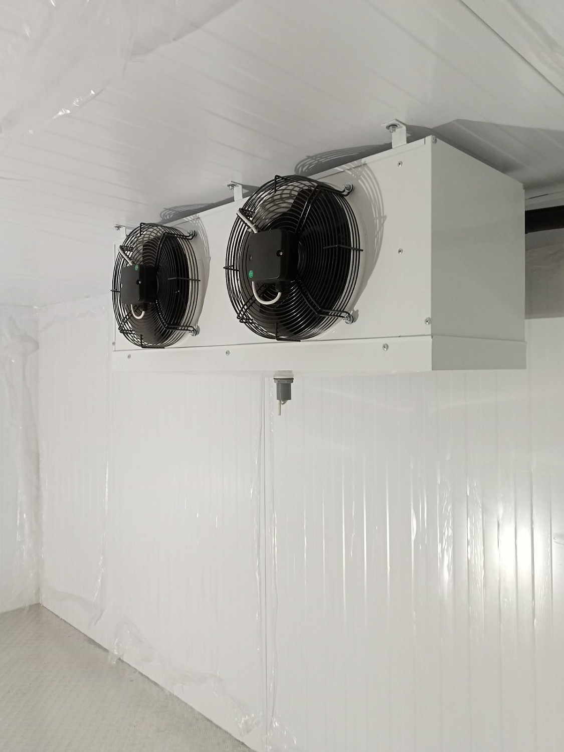 ГБСУСО МО «Добрый дом «Орехово-Зуевский»