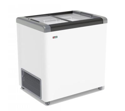 Морозильник горизонтальный FROSTOR FG 250 С серый